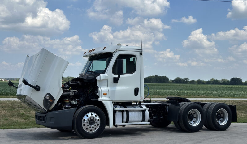 2015 Freightliner Cascadia 125 full